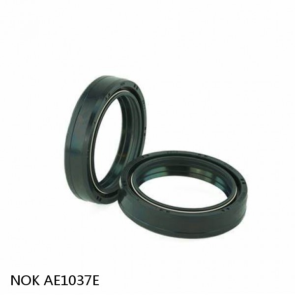 AE1037E NOK MECHANICAL SEAL