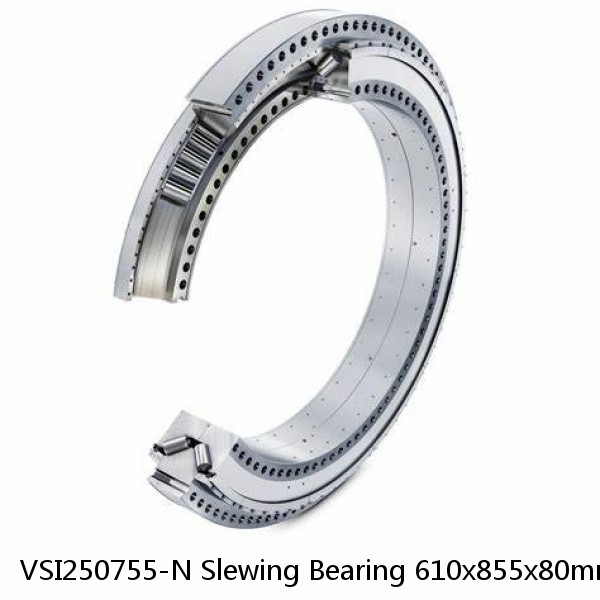 VSI250755-N Slewing Bearing 610x855x80mm