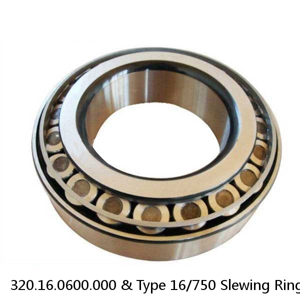 320.16.0600.000 & Type 16/750 Slewing Ring
