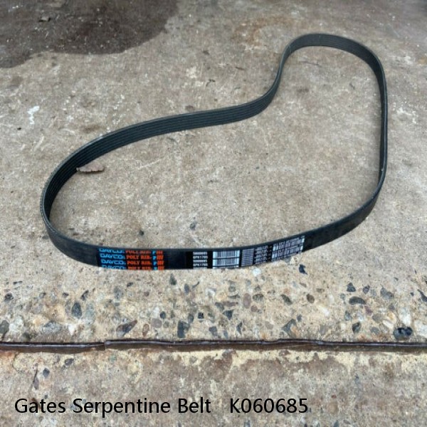 Gates Serpentine Belt   K060685