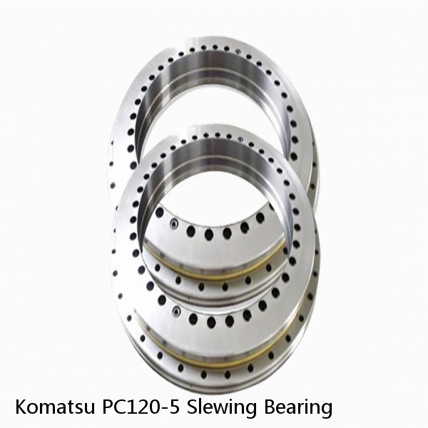 Komatsu PC120-5 Slewing Bearing